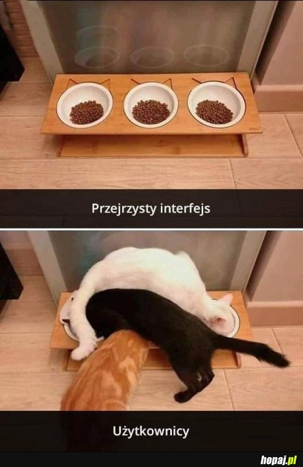 Interfejs