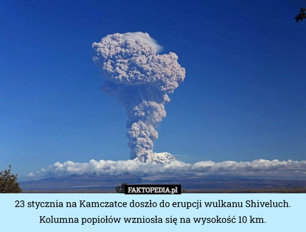 23 stycznia na Kamczatce doszło do erupcji wulkanu Shiveluch. Kolumna popiołów