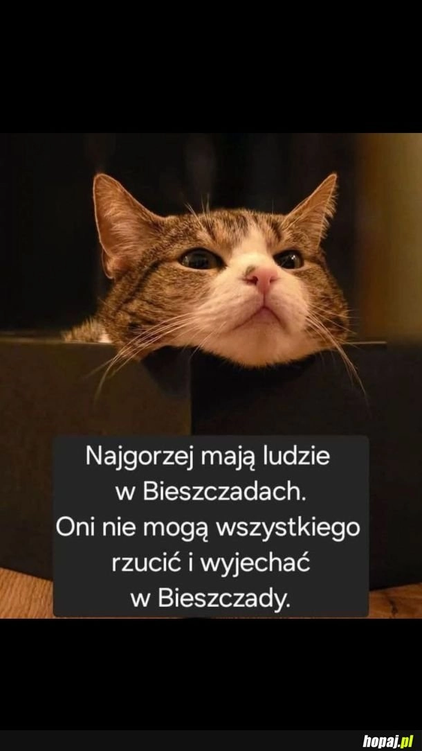 
    Gdzie bieszczadzianianie wyjezdzaja?