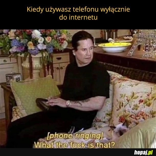 Zetki tak mają