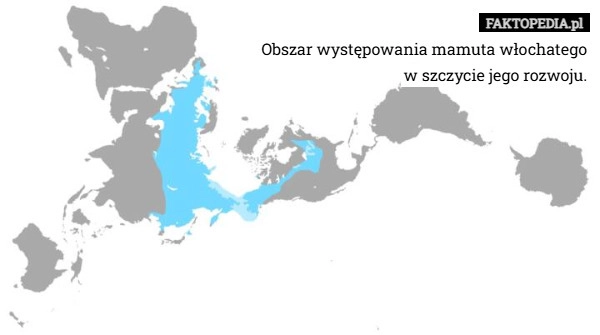 Obszar występowania mamuta włochatego
w szczycie jego rozwoju.