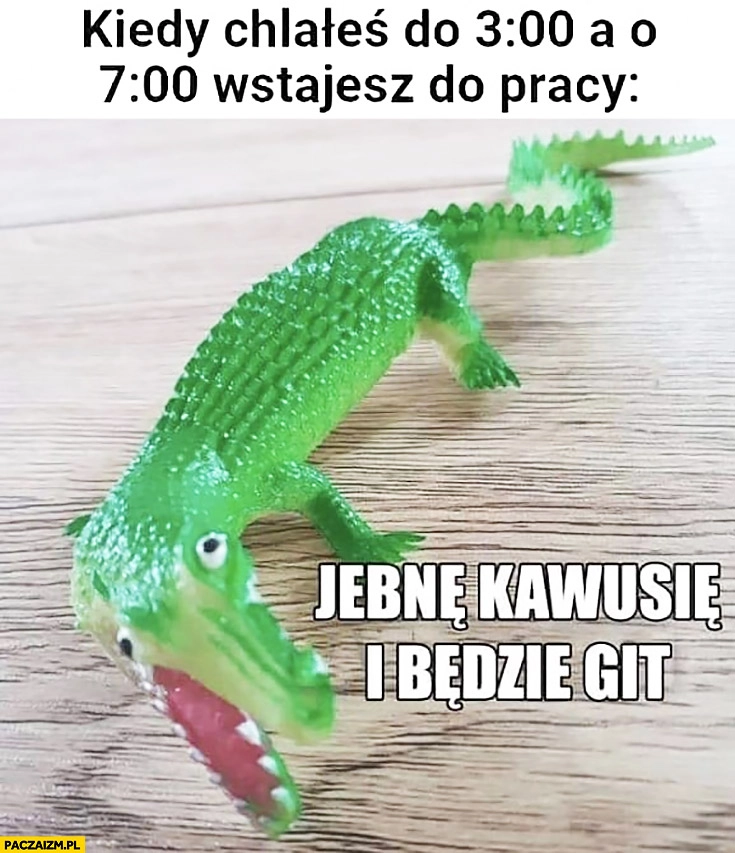 
    Kiedy chlałeś do 3 w nocy a o 7 wstajesz do pracy jebnę kawusię i będzie git krokodyl