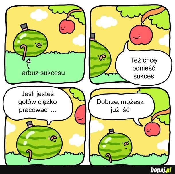 
    Arbuz sukcesu