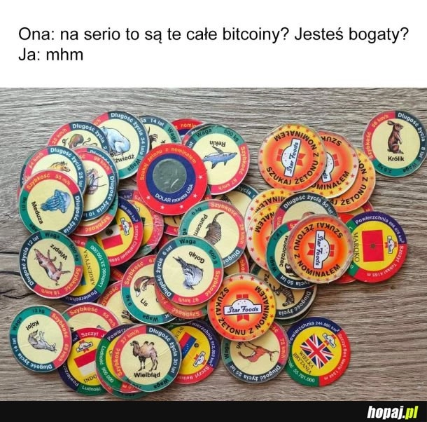 
    Bogactwo