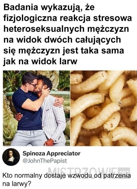 Reakcja stresowa