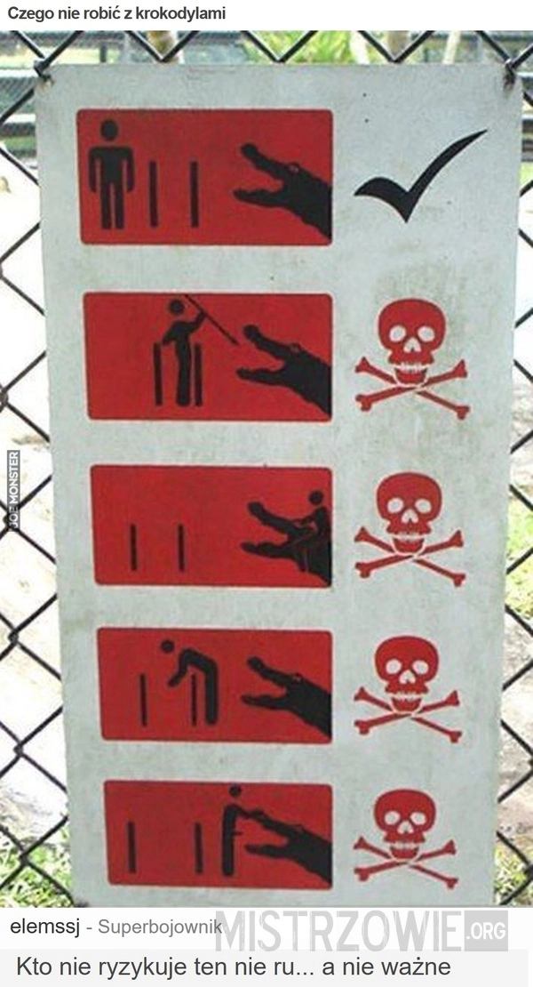 
    Czego nie robić z krokodylami