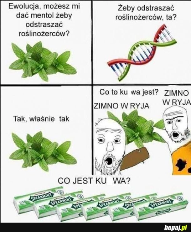 Mentol
