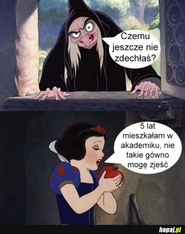 
    Zaprawiona w boju