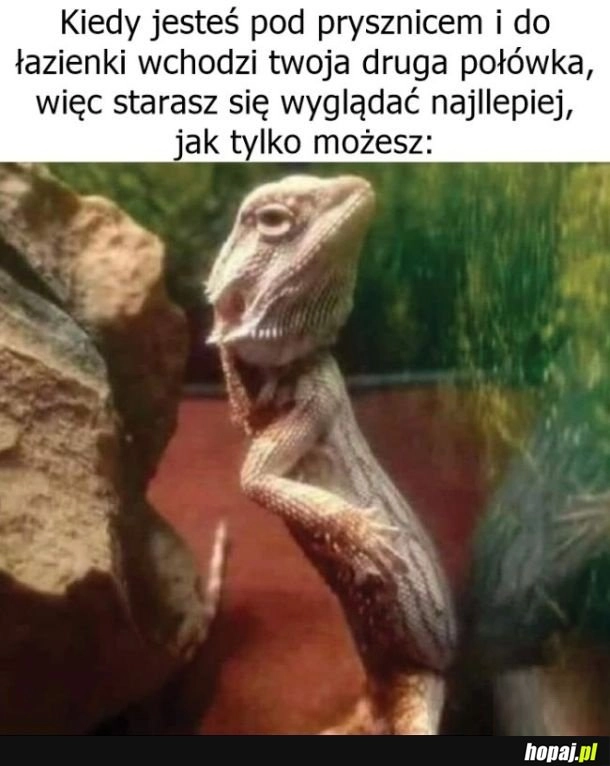 Szpan