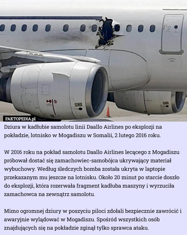 
    Dziura w kadłubie samolotu linii Daallo Airlines po eksplozji na pokładzie...