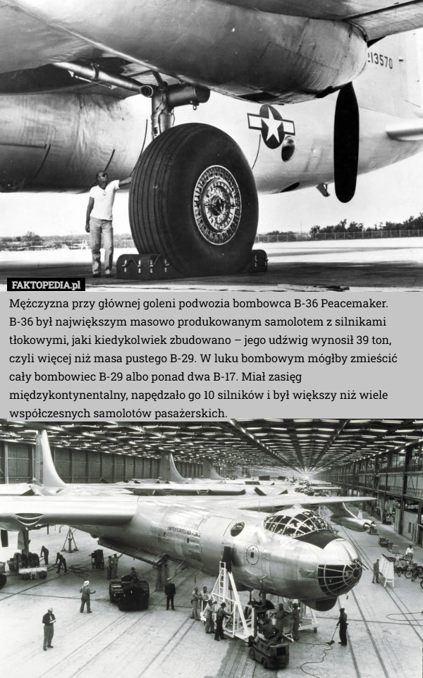 
    Mężczyzna przy głównej goleni podwozia bombowca B-36 Peacemaker. B-36 był