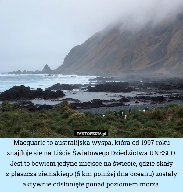 
    Macquarie to australijska wyspa, która od 1997 roku znajduje się na Liście