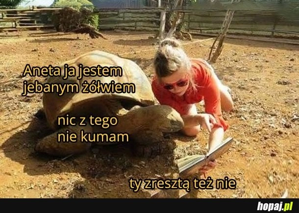 ŻóŁw